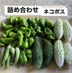 訳あり丸オクラ　ミニピーマン　ミニゴーヤ　野菜セットのサムネイル