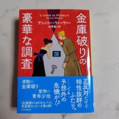 金庫破りの豪華な調査