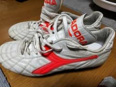 ディアドラ カンパーニャ - メルカリ