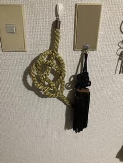 ジャンクションプロデュース　金綱　房セットのサムネイル