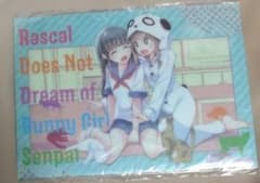 Ntype BUNNY A GIRL! C95 파랑 돼지 미조구치 케이지 상품 세트