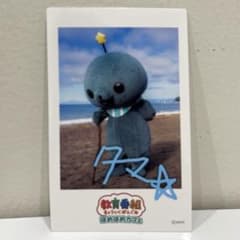 教育番組　ほめほめカフェ　ポップアップ　チェキ風ステッカー付きこんぺいとう　タマ 教育番組 ほめほめカフェ ポップアップ チェキ風ステッカー タマ