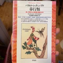 鼻行類 : 新しく発見された哺乳類の構造と生活のサムネイル
