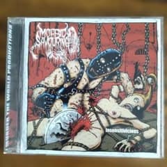MORBID SAVOURING Insentivicious CDのサムネイル