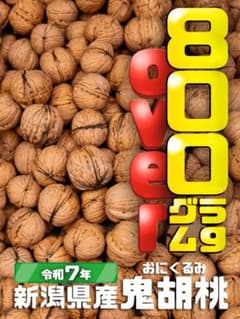 新潟県産 天然鬼くるみ 外装込800g以上 - メルカリ
