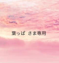 葉っぱ  さま  専用ですのサムネイル