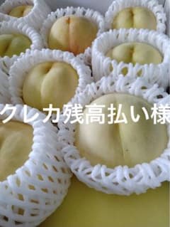 クレカ残高払い様　専用　白皇のサムネイル