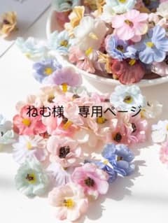 ねむ様専用ページのサムネイル
