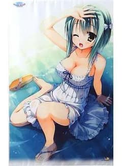 ゆずソフト　のーぶる☆わーくす　月山瀬奈　特大タペストリー　むりりん　トイプラ　こぶいち 2025年最新月山瀬奈の人気アイテム - メルカリ