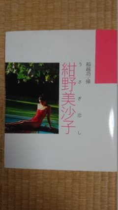 u*f様 【希少品 背表紙かすれ無し】紺野美沙子 写真集 うさぎ恋し 昭和59年のサムネイル