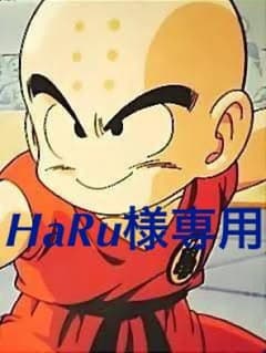 H aR u様専用のサムネイル