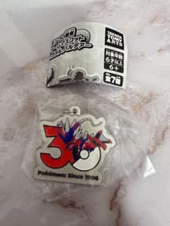 ポケモン30周年 チャームマスコット コライドンのサムネイル