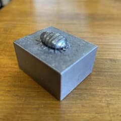 職人製作　手作りアート　ダンゴムシ　約5cm 職人製作 手作りアート ダンゴムシ 約5cm - メルカリ
