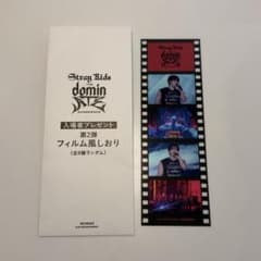 Stray Kids チャンビン　フィルム風しおりのサムネイル