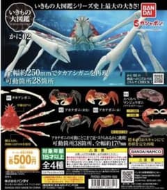いきもの大図鑑　かに02のサムネイル