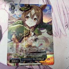 ヴァイスシュヴァルツ その背中を越えて サトノダイヤモンド OFR