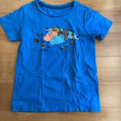 中古☆パタゴニア ＃キッズTシャツ＃5Tのサムネイル