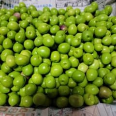 香川県産オリーブの実(無農薬)約1.3kg ④のサムネイル