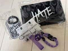 STARDOM アベイル H.A.T.E. 上谷沙弥のサムネイル