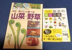 おいしく食べる山菜・野草 : 採り方・食べ方・効能がわかるのサムネイル