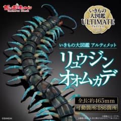 いきもの大図鑑アルティメット リュウジンオオムカデ ビッグフィギュア m31324620673_1.jpg?1776226653