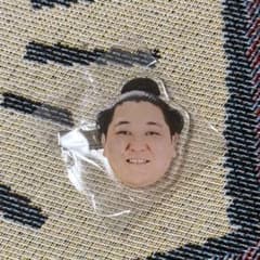 大相撲 大相撲ガチャ フェイスヘアピン 新品未開封 狼雅のサムネイル