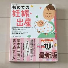 たまひよ 初めての妊娠、出産のサムネイル