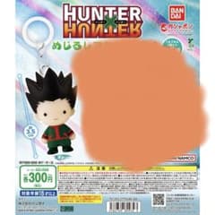 HUNTER×HUNTER めじるしアクセサリー ゴンのサムネイル