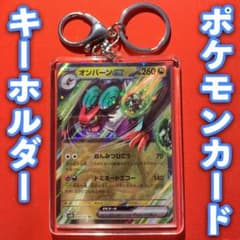 m31331456204_1.jpg?1684654710