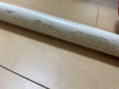 確認用のサムネイル