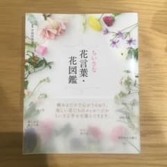ちいさな花言葉・花図鑑のサムネイル