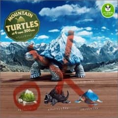 MOUNTAIN TURTLES ミドリワシバタケガメのサムネイル