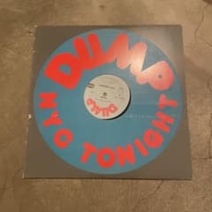 DUMP/NYC TONIGHT 坂本慎太郎12インチシングルアナログレコード レア dump nyc tonight LP 坂本慎太郎 - メルカリ