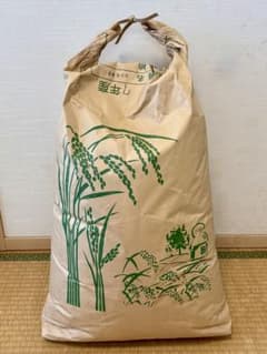 令和7年産 千葉県産コシヒカリ玄米30キロ 発送は6/7日になります