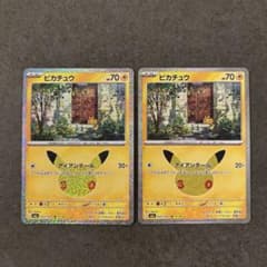 Pokemon card Pikachu 2-piece set