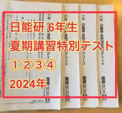 日能研 6年生 夏期講習特別テスト4回分 2024年 - メルカリ