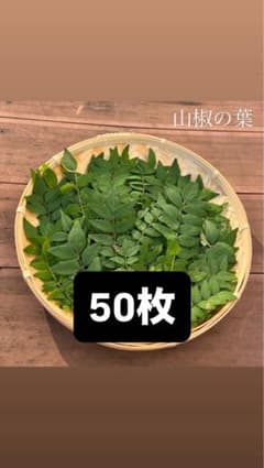 山椒の葉　50枚以上　天然　無農薬　10月18日までセール中のサムネイル