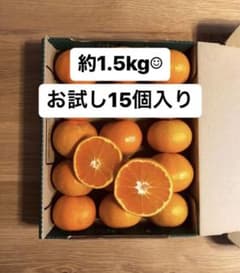 おばあちゃんのみかん〜約15個入〜のサムネイル