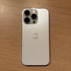 Apple iPhone 14 Pro 실버 256GB 본체