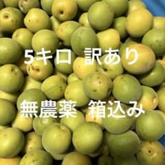 梅 5キロ 訳あり 無農薬 箱込みのサムネイル