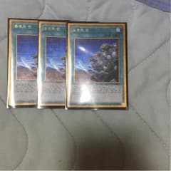同胞の絆３枚のサムネイル