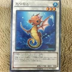 たつのこのサムネイル