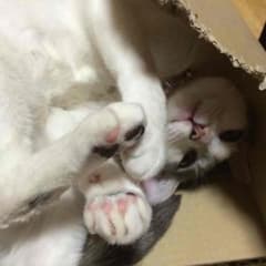 あやさん専用のサムネイル