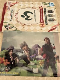 Mrs. GREEN APPLE A4 클리어 파일