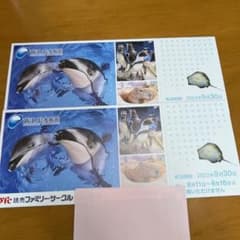 新江ノ島水族館のサムネイル