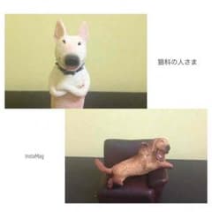 猫科の人さま専用のサムネイル