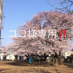 ココ様専用‼️のサムネイル
