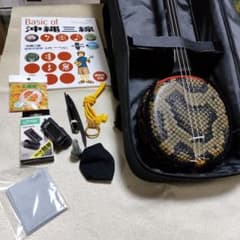 沖縄 三線 特上 人工皮革 蛇柄 ソフトケース 三味線✨付属品多数