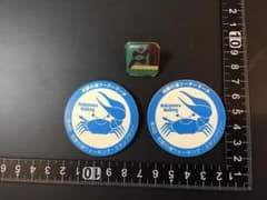 ウォーキングイベント　バッジ⑥⑦ 2種3点　京都スポーツ　和歌の浦ツーデー - 3