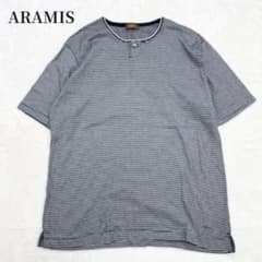 アラミス 半袖Tシャツ ボーダー柄 ヘンリーネック 日本製 大きいサイズ ラフ